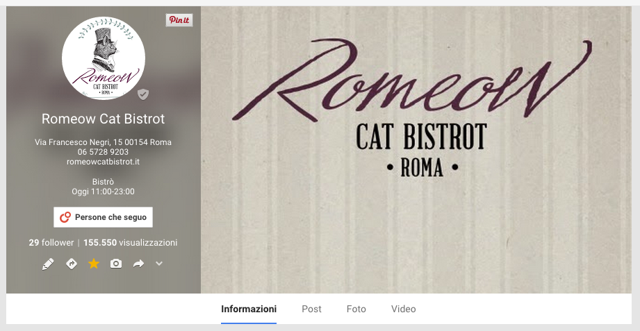 google+ romeow cat bistrot